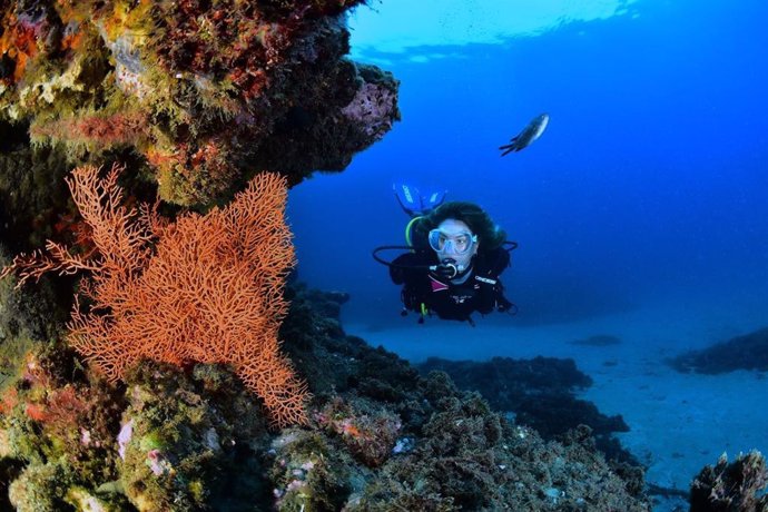 El Pleno apoya la candidatura de Nerja y Almunecar para acoger el Campeonato Mundial de Fotografia y Video Subacua