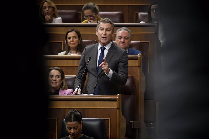 El presidente del PP, Alberto Núñez Feijóo, interviene durante una sesión de control al Gobierno, en el Congreso de los Diputados, a 16 de octubre de 2024, en Madrid (España). 