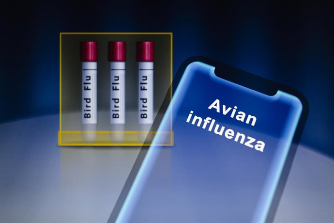 Archivo - February 17, 2023, Asuncion, Paraguay: A view of the words ''avian influenza'' is displayed on a smartphone in front of visual representation of test tubes labeled ''bird flu.'' ''Avian influenza or bird flu refers to the disease caused by inf