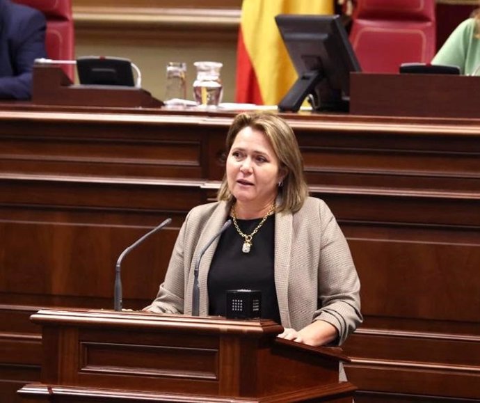 La diputada del PSOE Alicia Vanoostende