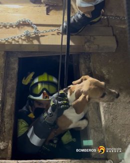 Momento en el que los bomberos de la DPH sacan de un pozo de la localidad montisonense de Pueyo de Santa Cruz al perro desaparecido desde el viernes.