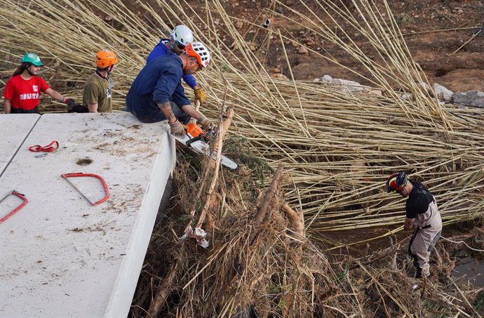 Efectivos de la UME trabajan quitando árboles, a 7 de noviembre de 2024, en Cheste, Valencia, Comunidad Valenciana (España). El Boletín Oficial del Estado (BOE) ha publicado hoy la declaración de zona gravemente afectada por una emergencia de Protección C