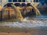 Foto: Los patógenos que se adhieren a los microplásticos pueden sobrevivir al tratamiento de aguas residuales