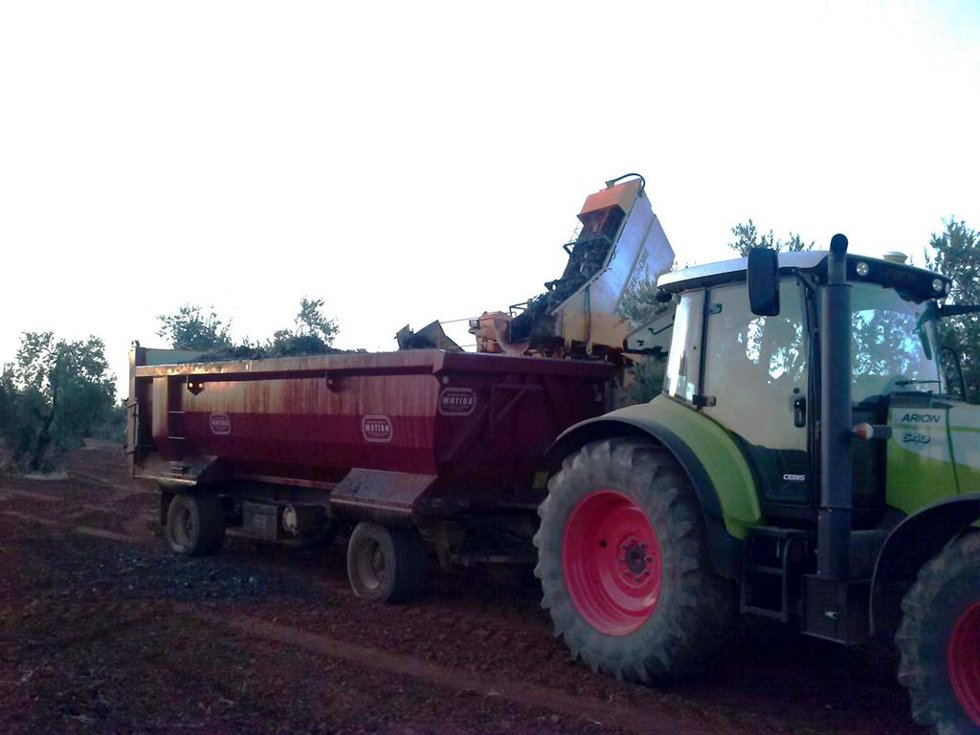 Máquina vendimiadora