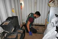 Detenidos con dos plantaciones de marihuana en un zulo en Alhaurín de la Torre (Málaga)