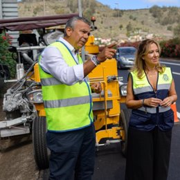 Archivo - El consejero de Carreteras del Cabildo de Tenerife, Dámaso Arteaga, y la presidenta, Rosa Dávila