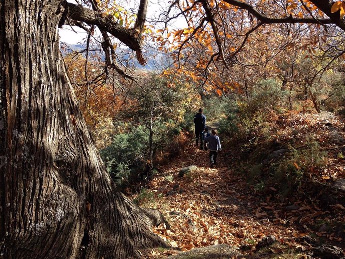 Imagen de recurso de un sendero.