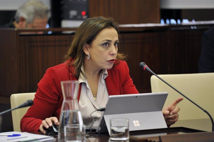 La secretaria general de Igualdad y Concialiación, Ara Sánchez, en su comparecencia en la comisión de la Asamblea.