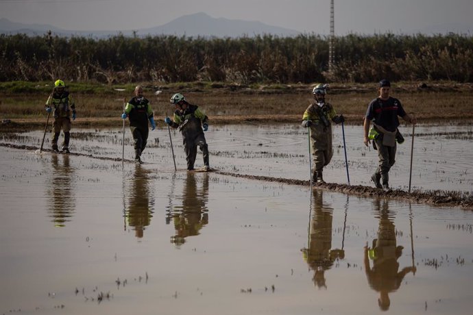 Imagen de efectivos que participan en la búsqueda de víctimas mortales como consecuencia de la DANA por la Albufera de València. 