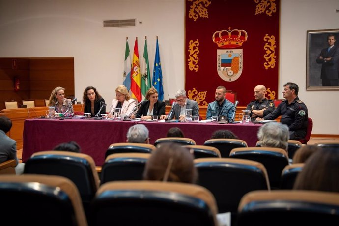 Mesa de Trabajo y Coordinación Municipal Interinstitucional y Social contra la Violencia de Género en Torremolinos.