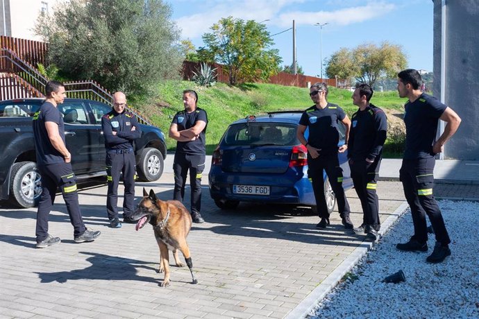 Bomberos del Sepei de Cáceres agradecen el trato recibido por la población en las zonas afectadas por la DANA