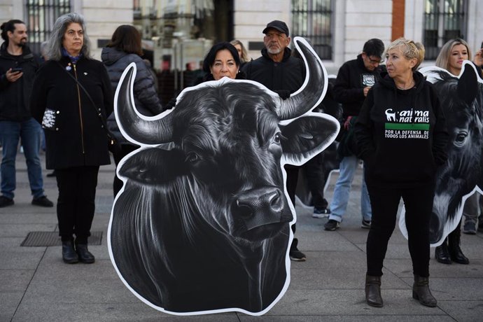 Archivo - Una persona muestra una pancarta con la imagen de un toro, durante una manifestación en contra de la tauromaquia, en la Puerta del Sol, a 27 de noviembre de 2023, en Madrid (España).