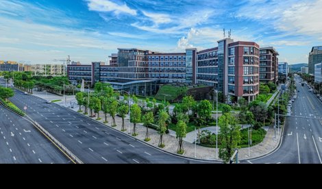 Comunicados Internacional