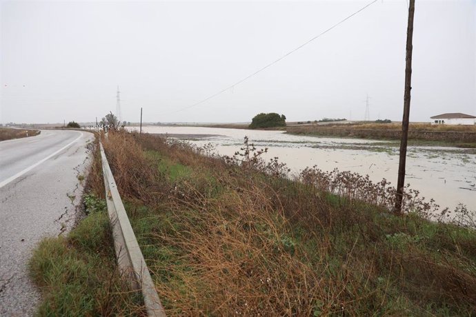 Inmediaciones de la carretera A-394 en Arahal anegadas debido a los efectos de las lluvias en las provincias de Cádiz y Sevilla. Imagen de archivo. 