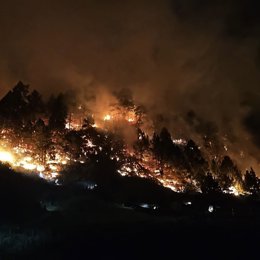 Incendio en El Paso (La Palma)