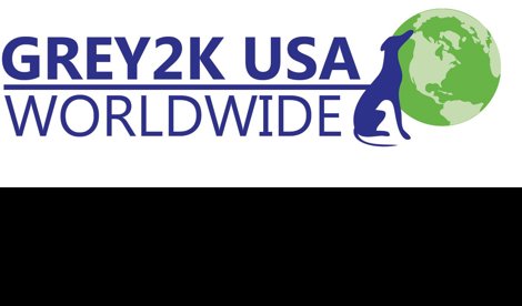 Comunicados Internacional