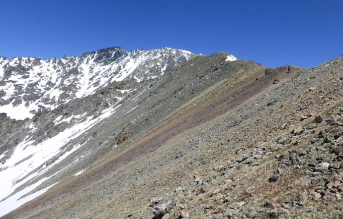 Una pendiente a lo largo del Paso Arapaho en el Front Range de Colorado, donde la arenisca anaranjada de Tava sobresale hacia la superficie.