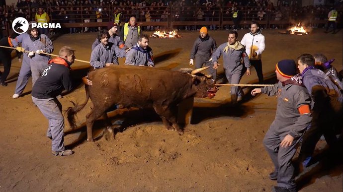 Celebración del Toro Jubilo en la localidad soriana de Medinaceli.