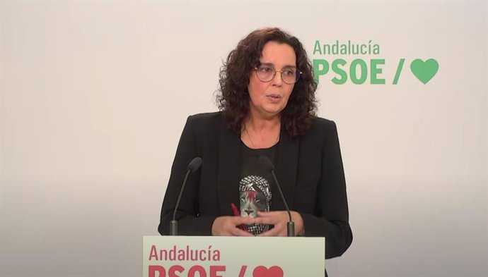 La portavoz de Educación del Grupo Parlamentario Socialista, Susana Rivas, en rueda de prensa.