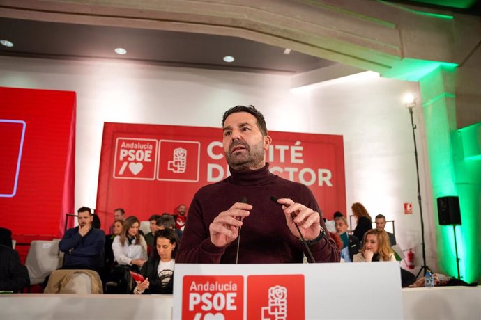 Archivo - El exsecretario de Organización del PSOE de Andalucía, Noel López interviene en el Comité Director del PSOE de Andalucía, a 26 de enero de 2024 en Sevilla, (Foto de archivo).