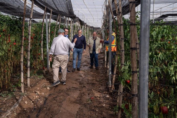 Los diputados provinciales visitan uno de los invernaderos afectados por lluvias en Dalías (Almería).