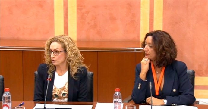 La secretaria de Institucional y Comunicación de CCOO de Andalucía, Nuria Martínez, en el Parlamento andaluz.