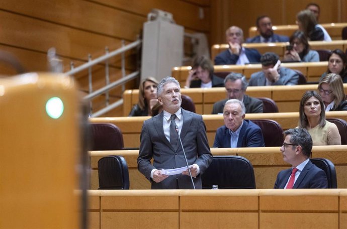 El ministro del Interior, Fernando Grande-Marlaska, interviene durante una sesión de control al Gobierno en el Senado