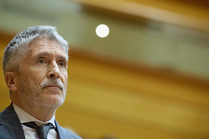 El ministro de Interior, Fernando Grande-Marlaska, en el Senado