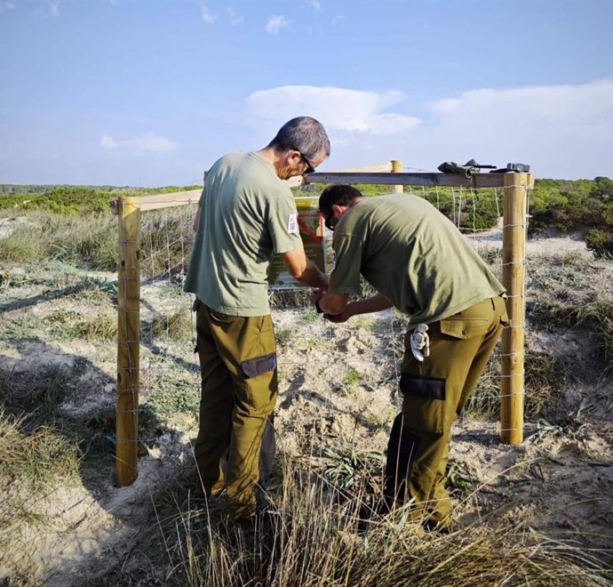 El Govern inicia un proyecto de repoblación  natural en el Parque Natural es Trenc-Salobrar.