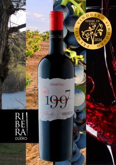 Comunicados Sociedad