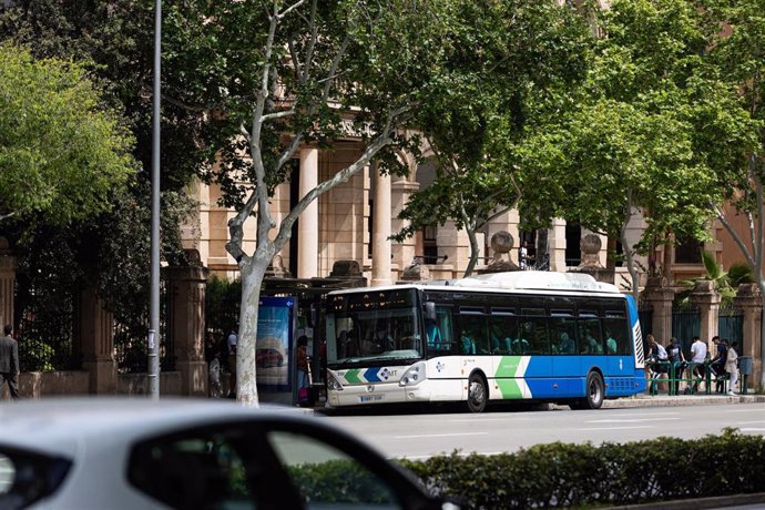 Archivo - Un autobus en una calle de Palma de Mallorca, a 15 de abril de 2024, en Palma de Mallorca, Mallorca, Baleares (España).