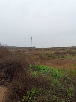 Terrenos en los que se prevé construir un parque fotovoltaico en Lleida.