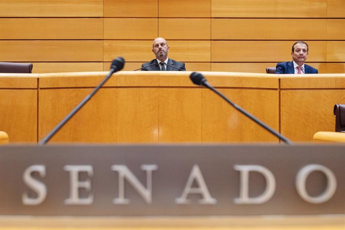 El presidente del Senado, Pedro Rollán, durante una sesión plenaria en el Senado, en Madrid (España).