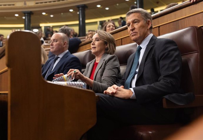 (I-D)El portavoz del PP en el Congreso, Miguel Tellado; la secretaria general del PP, Cuca Gamarra, y el presidente del Partido Popular, Alberto Núñez Feijóo, durante una sesión plenaria en el Congreso de los Diputados, a 12 de noviembre de 2024, en Madri