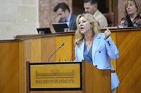 El Presupuesto de 2025 supera el debate de totalidad tras rechazar PP-A y Vox las enmiendas de los grupos de izquierda