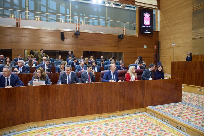 La bancada popular durante un pleno en la Asamblea de Madrid, a 14 de noviembre de 2024, en Madrid (España).