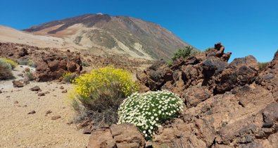 Islas Canarias