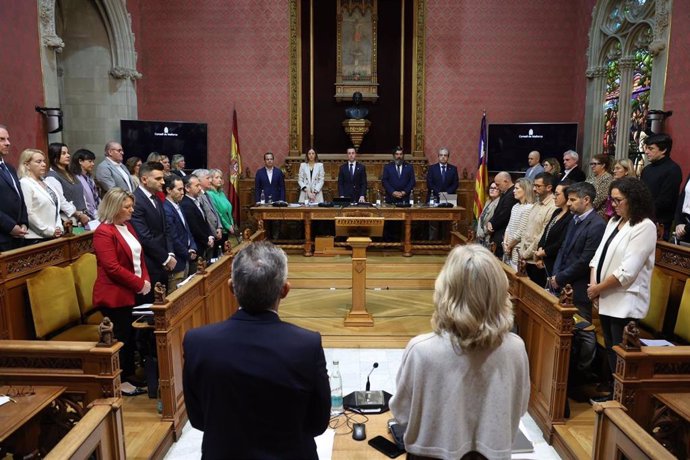 Pleno del Consell de Mallorca