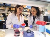 Foto: Un estudio del IBiS de Sevilla abre posibilidades en la lucha contra infecciones por bacterias resistentes a fármacos