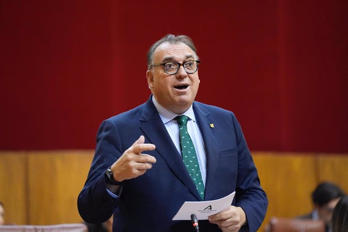 El consejero de Turismo y Andalucía Exterior, Arturo Bernal, en el Pleno del Parlamento andaluz el 14 de noviembre de 2024.