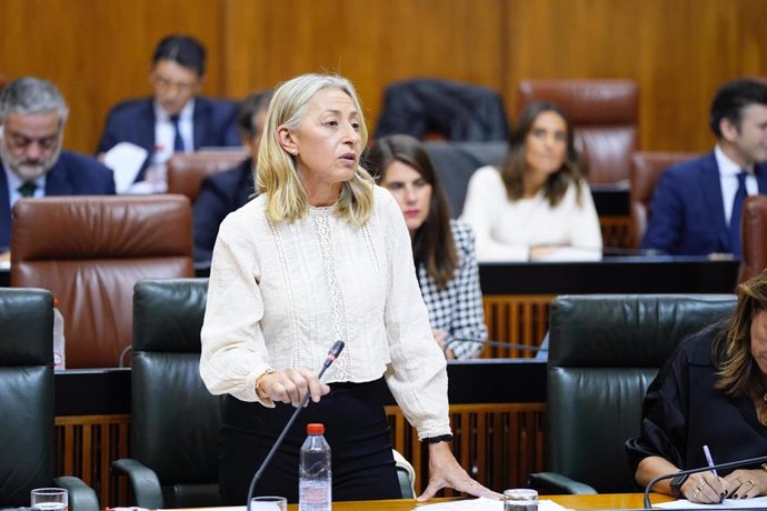 La consejera de Salud y Consumo, Rocío Hernández, en el Pleno del Parlamento.