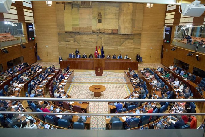 Pleno en la Asamblea de Madrid, a 14 de noviembre de 2024, en Madrid (España). 