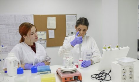 Comunicados Empresas