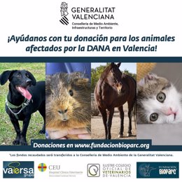 La Fundación BIOPARC habilita una plataforma para canalizar la ayuda económica dirigida a los animales afectados por la DANA en Valencia