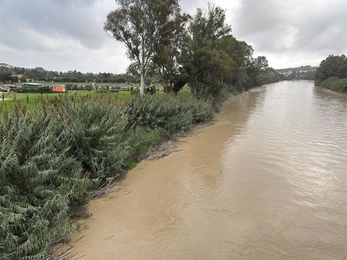 Río Guadiaro a su paso por las barriadas de San Roque este 14 de noviembre.