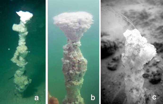 Imágenes in situ de los grupos de chimeneas en el fondo del Mar Muerto