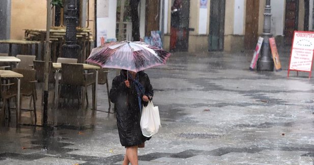 Jerez al día