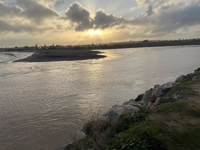 Río Guadiaro este jueves 14 de noviembre.