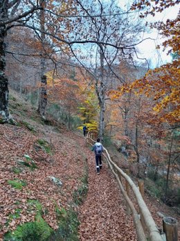 'Pasea La Rioja' Invita A Redescubrir El Parque Natural De Sierra Cebollera Con Dos Paseos Interpretativos