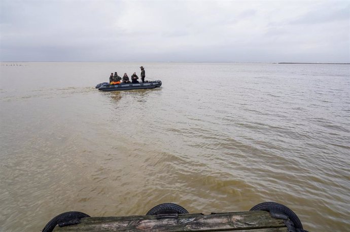 Varios militares de la Armada trabajan en la búsqueda en La Albufera, a 14 de noviembre de 2024, en Valencia